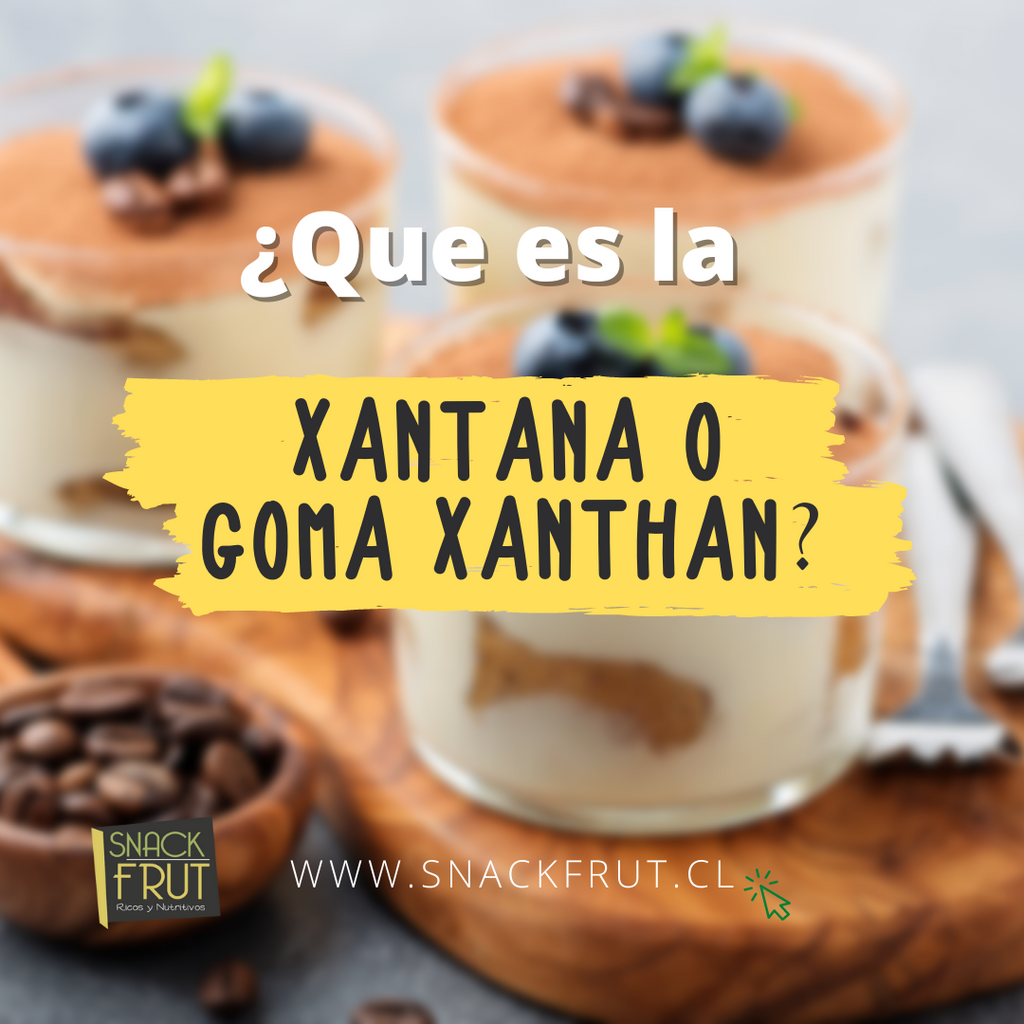 ¿ Que es la Xantana o Goma Xanthan ?