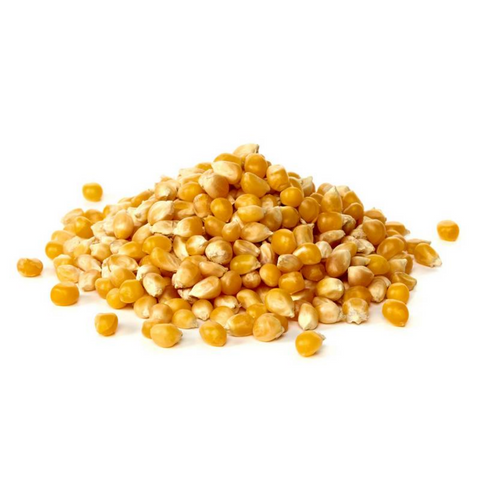 Maíz curagua (Pop Corn) 1 kg
